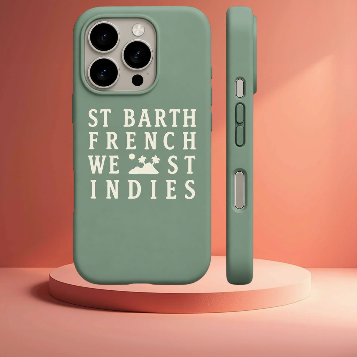 COQUE IPHONE SBFWI